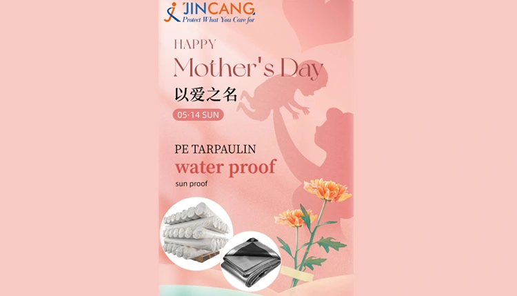 Pag -ibig ng isang Ina: Pagdiriwang ng Araw ng Ina