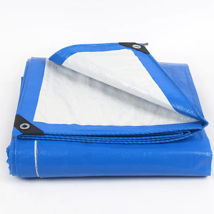 Ano ang pe tarpaulin?