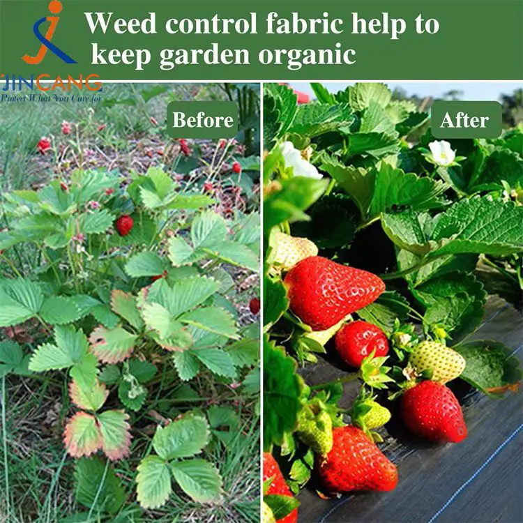 Damo control tela mat