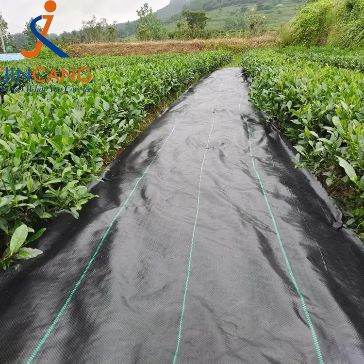 Damo control tela mat