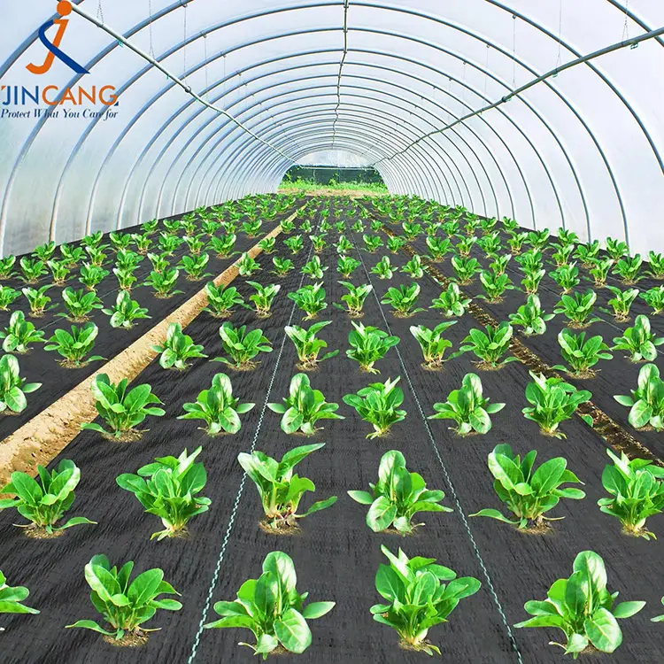 Damo control tela mat