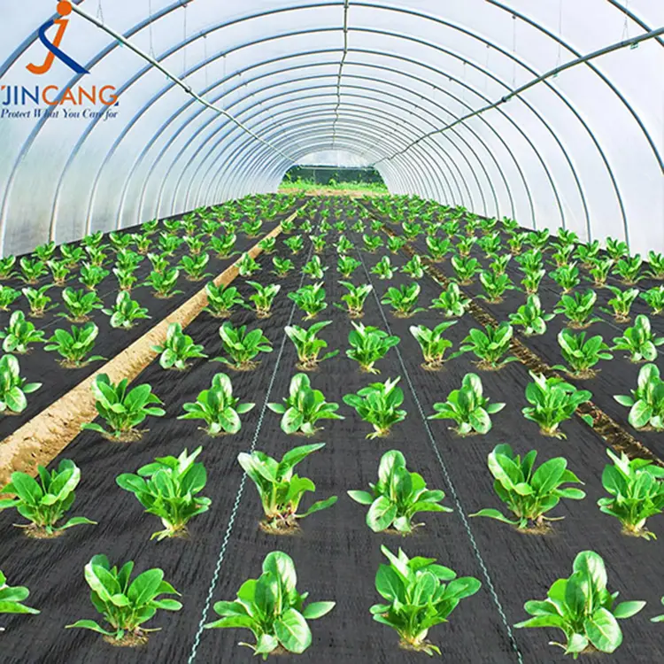 Geotextile Grass Barrier Black Weed Barrier Fabric Mat