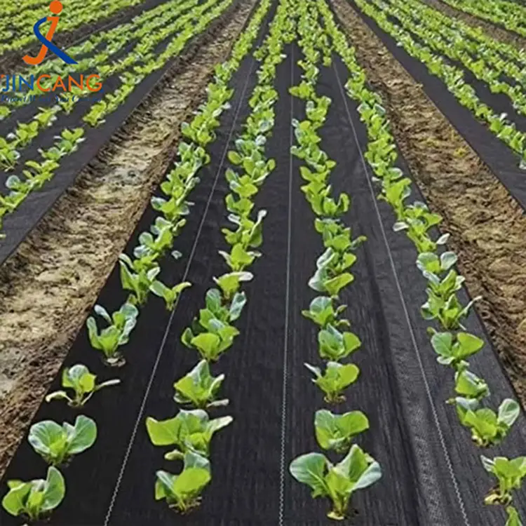 Anti weed tela Pe Woven Garden Weed Control Mat